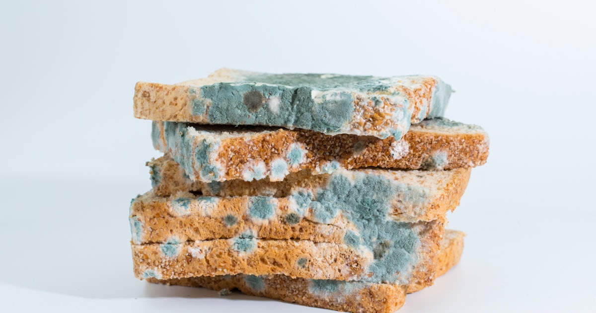 Food scientists debunk a dangerous myth about moldy food