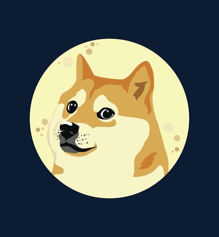 Dogecoin Doge Against Full Moon