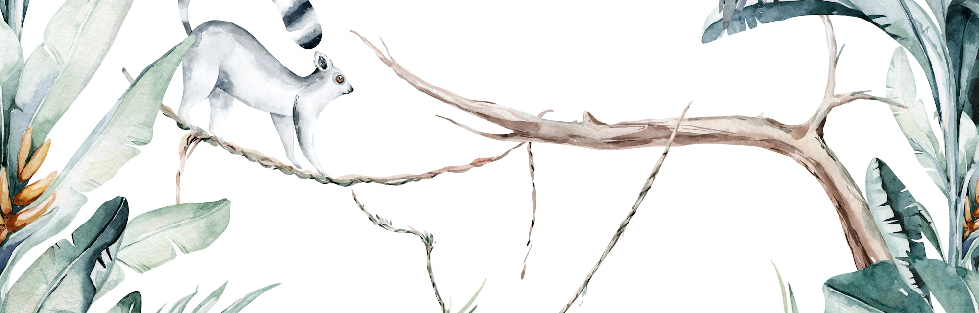 The smallest creatures in Madagascar have a giant evolutionary tale to tell