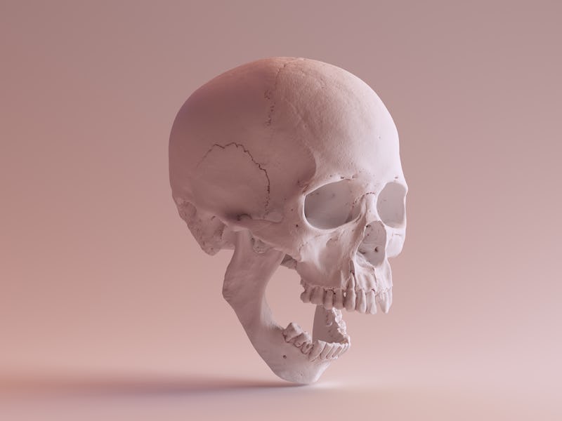 White Skull with Jaw Open 3Q Right 3d illustration skull scan scsuvizlab CC Attribution