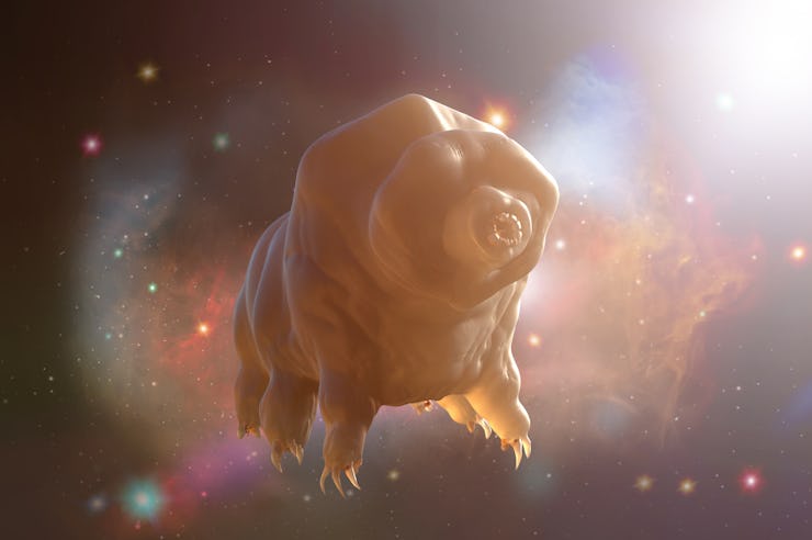 Tardigrada in space 3D render