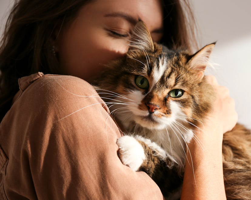 Portrait of young woman holding cute cat in a list of instagram captions for International Cat Day. 