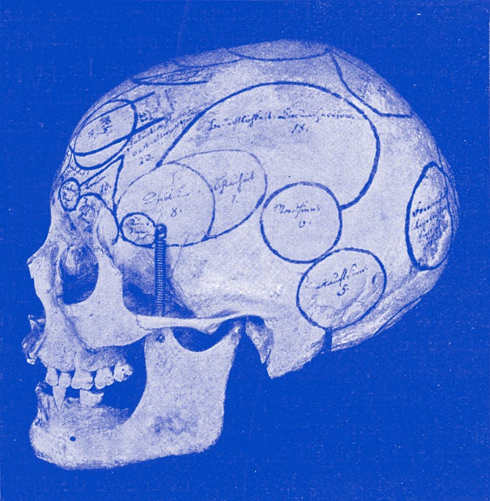 Skull with indication of Gall organs seen from side and back, vintage photo. From the Universe and H...