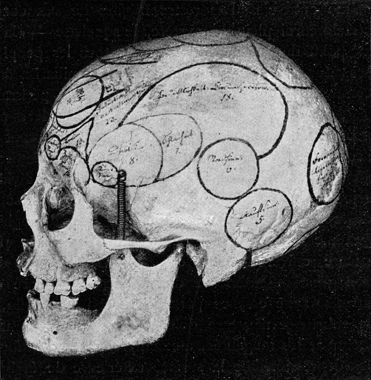 Skull with indication of Gall organs seen from side and back, vintage photo. From the Universe and H...