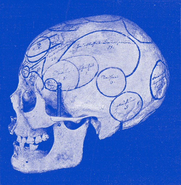 Skull with indication of Gall organs seen from side and back, vintage photo. From the Universe and H...