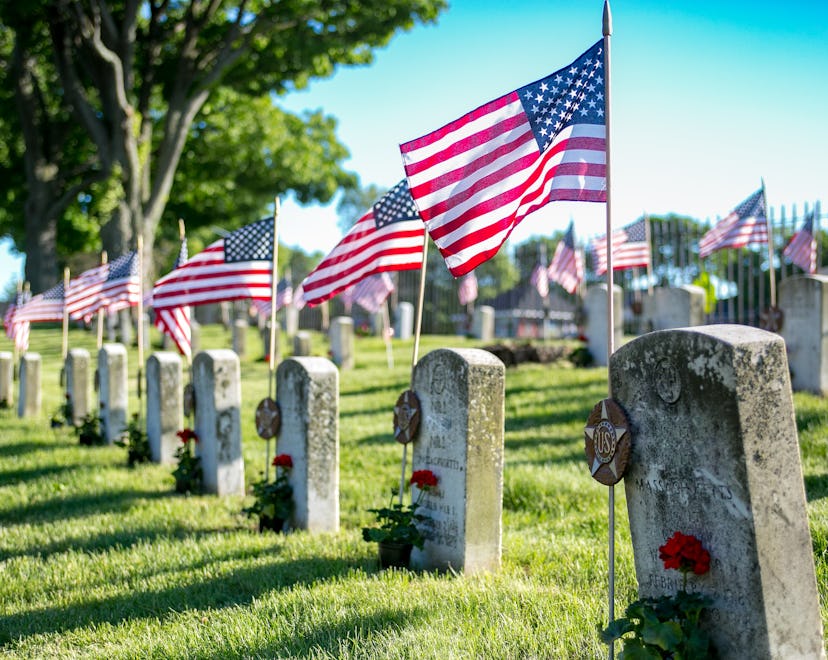 Memorial Day American flags at a cemetery; what to text on Memorial Day
