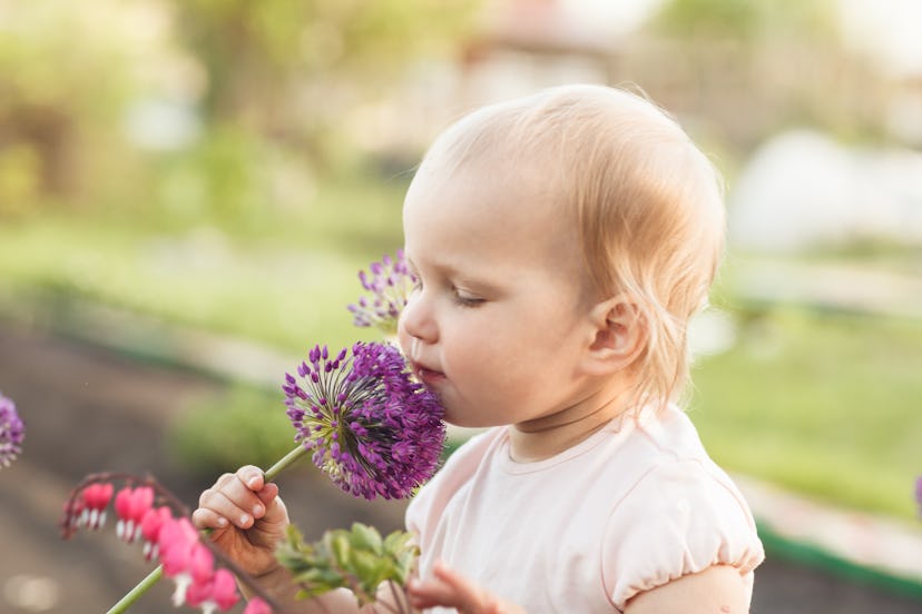 Cute baby girl smelling purple onion flower in the garden