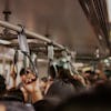 Crowd inside the train in rush hour