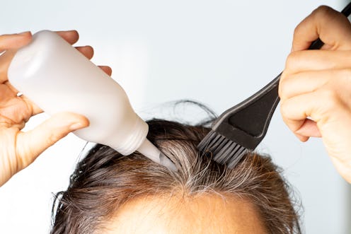 Closeup woman hands dyeing hair using black brush. Middle age woman colouring dark hair with gray ro...