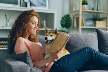 Pretty student young woman is reading book in cozy apartment smiling and petting adorable dog sittin...