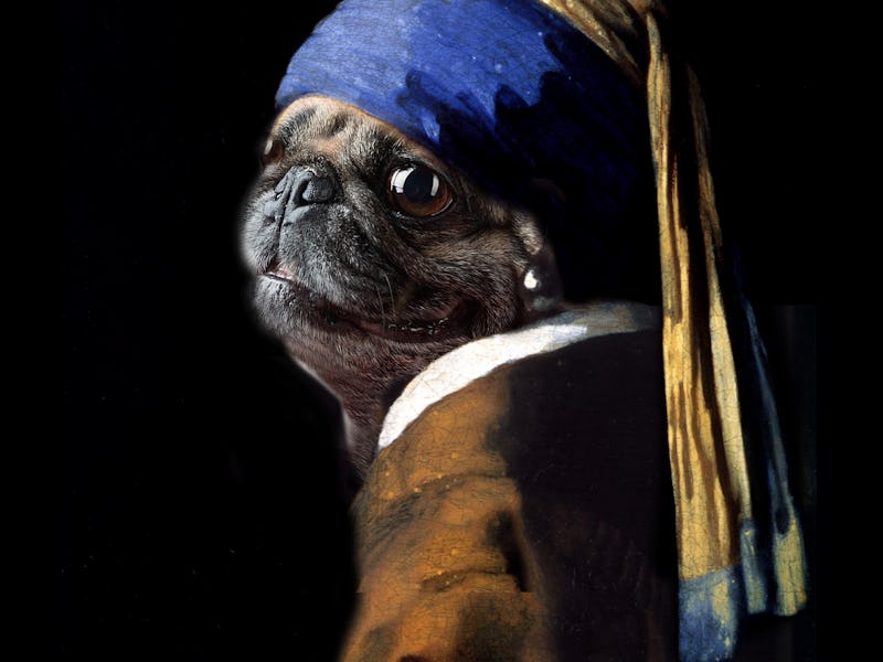 Vermeer spoof of "Girl with a Pearl Earring" now, "Pug with a Pearl Earring" using my daughter's pu...
