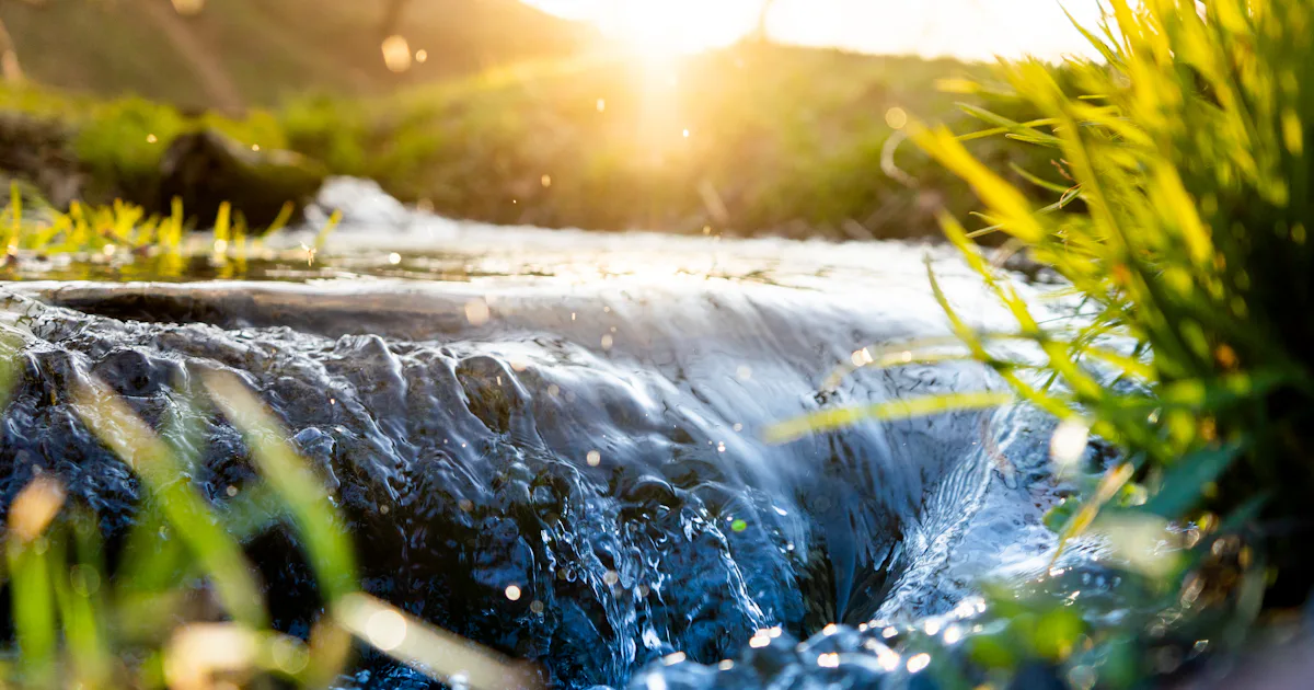 Inside the growing movement to make rivers legally qualify as people