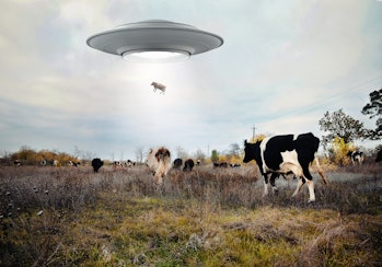 Paisaje con vacas y OVNI.  Imagen con elemento de renderizado 3d 