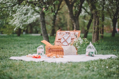 
a cozy picnic in nature, in the park, a summer picnic in the countryside,
picnic basket, photo shoo...