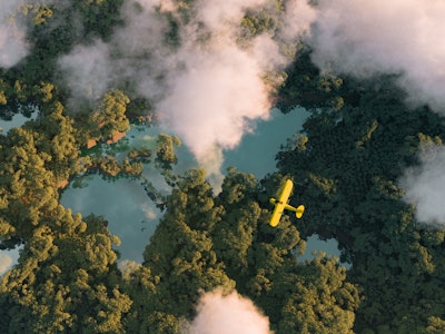 Sustainable habitat world concept. Distant aerial view of a dense rainforest vegetation with lakes i...