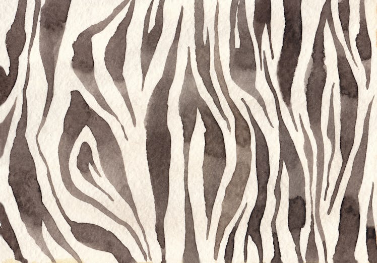 Watercolor abstract background of zebra skin imitation. Wildlife zebra texture. Animal skin pattern.