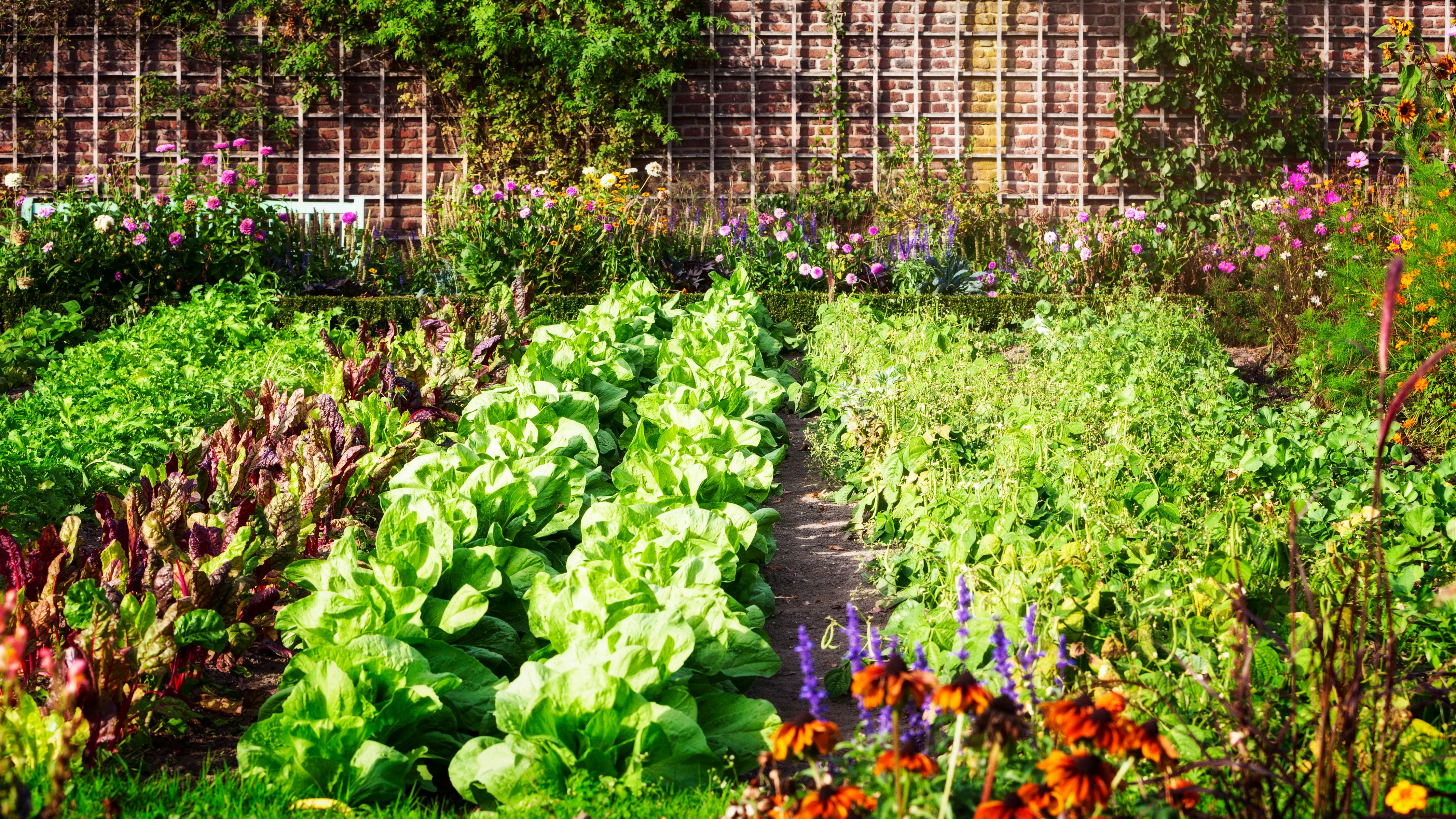 15 Beautiful Vegetable Gardens To Inspire You