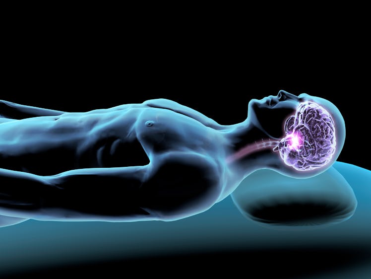 Sleeping Man with X-ray Brain, 3D Rendering
