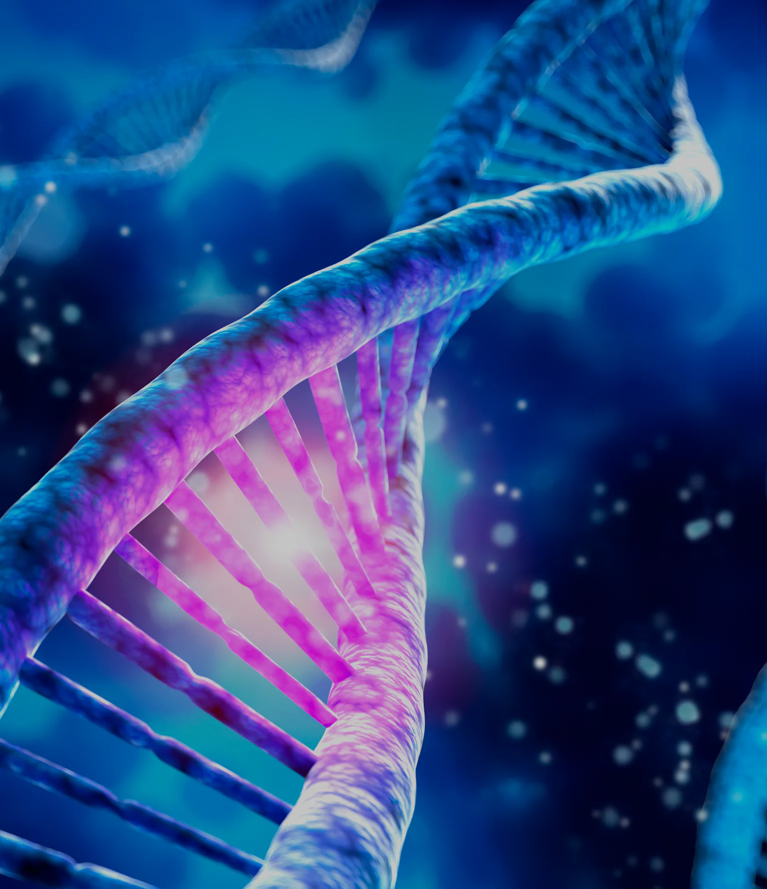 Rare genes could be used to prevent weight gain, study finds