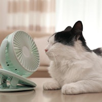 Heat waves: 14 strategies to keep cool on hot days