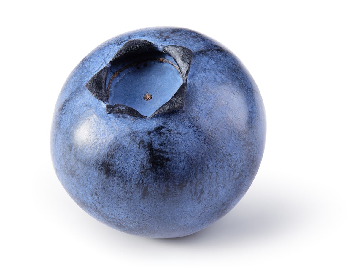 Against Jumbo Blueberries