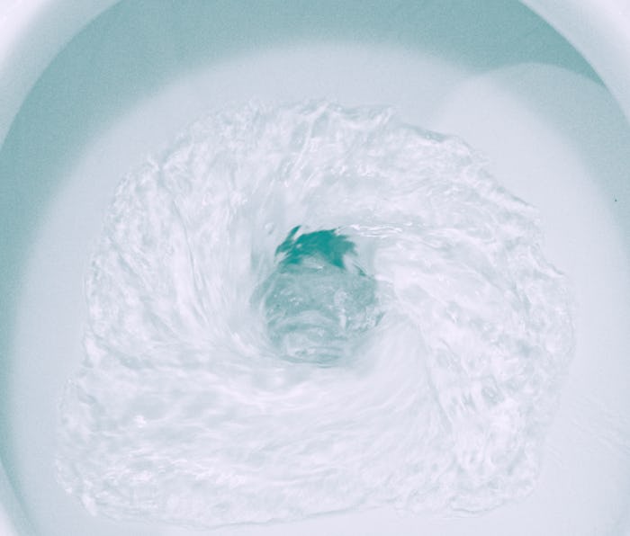 Toilet, Flushing Water, close up