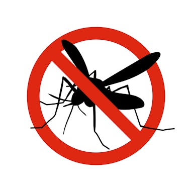 Mosquito warning prohibited sign. Anti mosquitoes, insect control vector symbol. Stop and control mo...