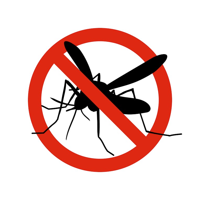 Mosquito warning prohibited sign. Anti mosquitoes, insect control vector symbol. Stop and control mo...