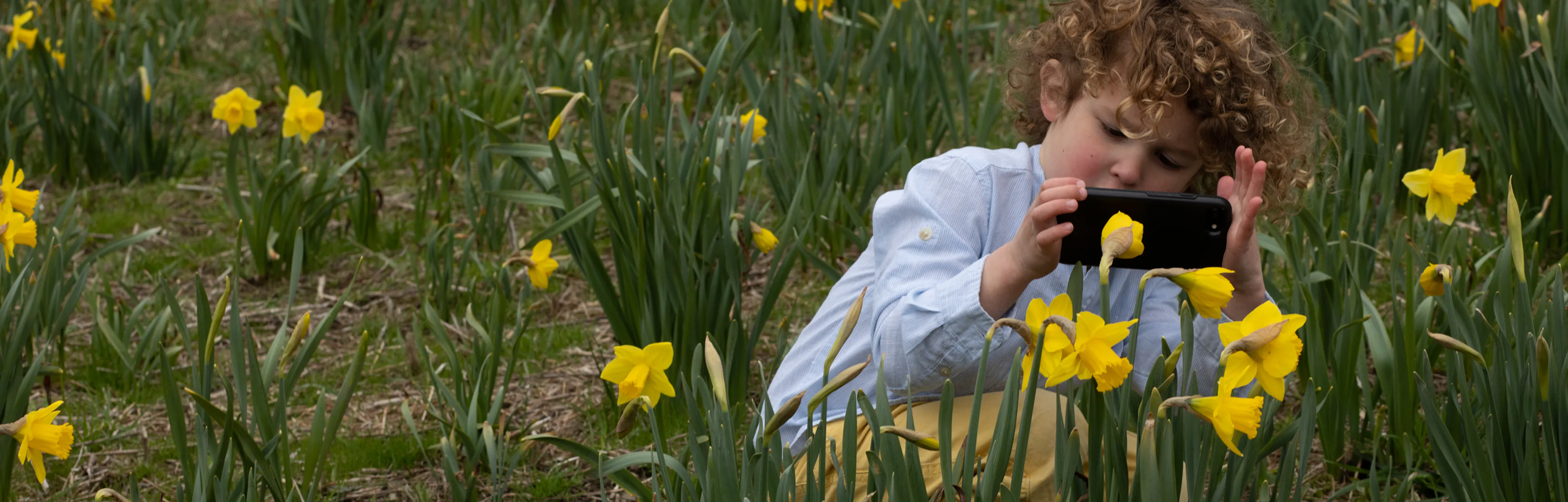 Is Unschooling Legal The Educational Philosophy Has Some Rules is-unschooling-legal-the-educational-philosophy-has-some-rules