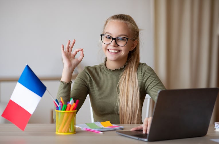 Cheerful girl teenager with flag of France showing okay gesture, using laptop, having educational on...