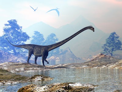 Barosaurus dinosaur walk in a landscape by sunset - 3D render