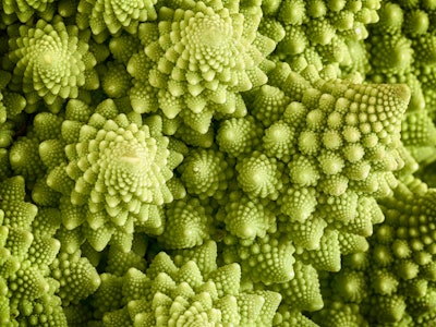 Romanesco broccoli vegetable represents a natural fractal pattern and is rich in vitimans. First doc...