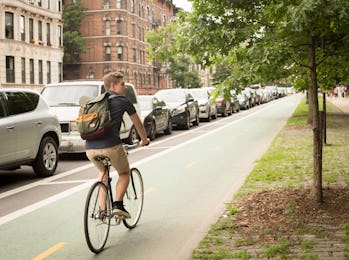 Back view of modern hipster man riding bike on bike lane, photographed in Brooklyn NY in July 2017