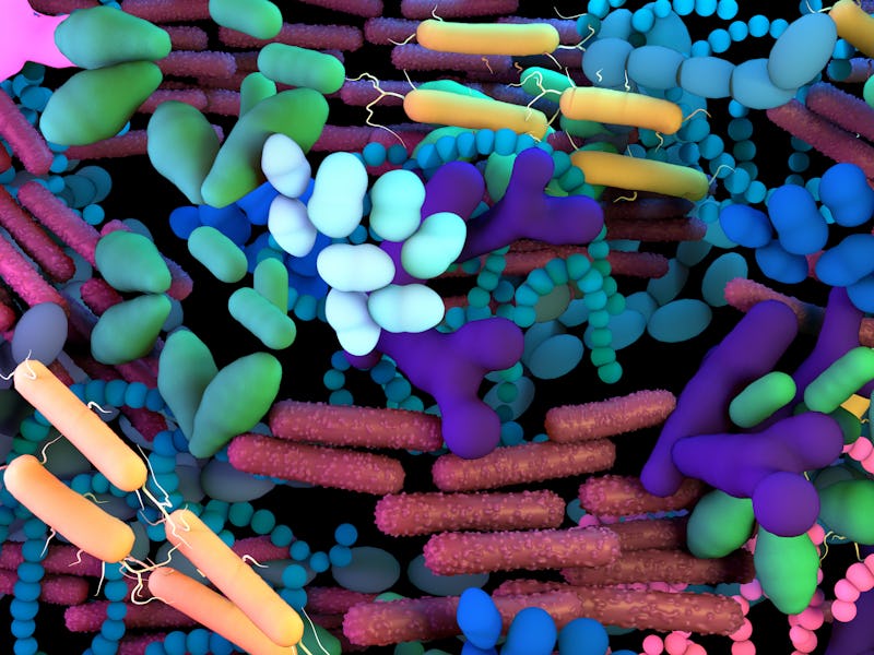 The genetic material of all the microbes that live on and inside the human body in a 3D illustration