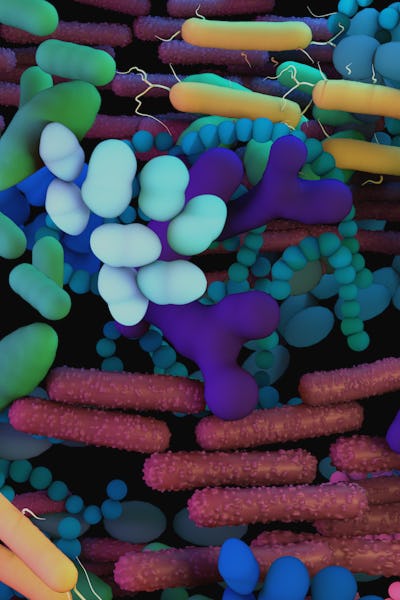 The genetic material of all the microbes that live on and inside the human body in a 3D illustration