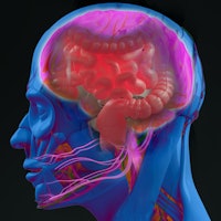 Gut-brain connection or gut brain axis. Concept art showing a connection from the gut to the brain. ...