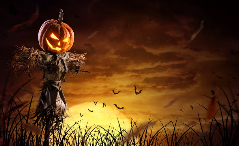 halloween pumpkin scarecrow on a wide field with the moon on a scary night, the scarecrow is a kid-f...