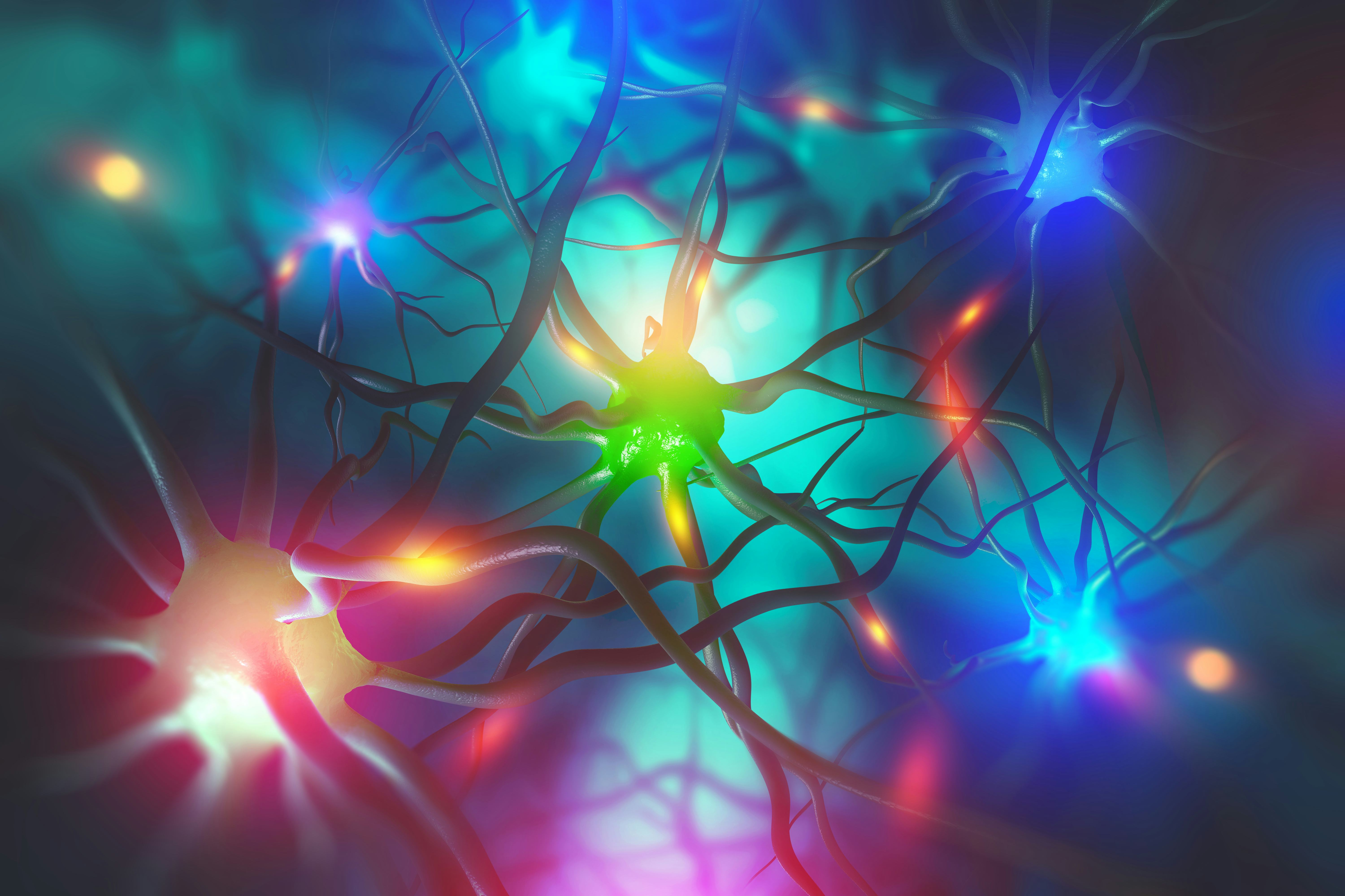 ‘Deep fat’ study reveals a surprising brainimmune system connection