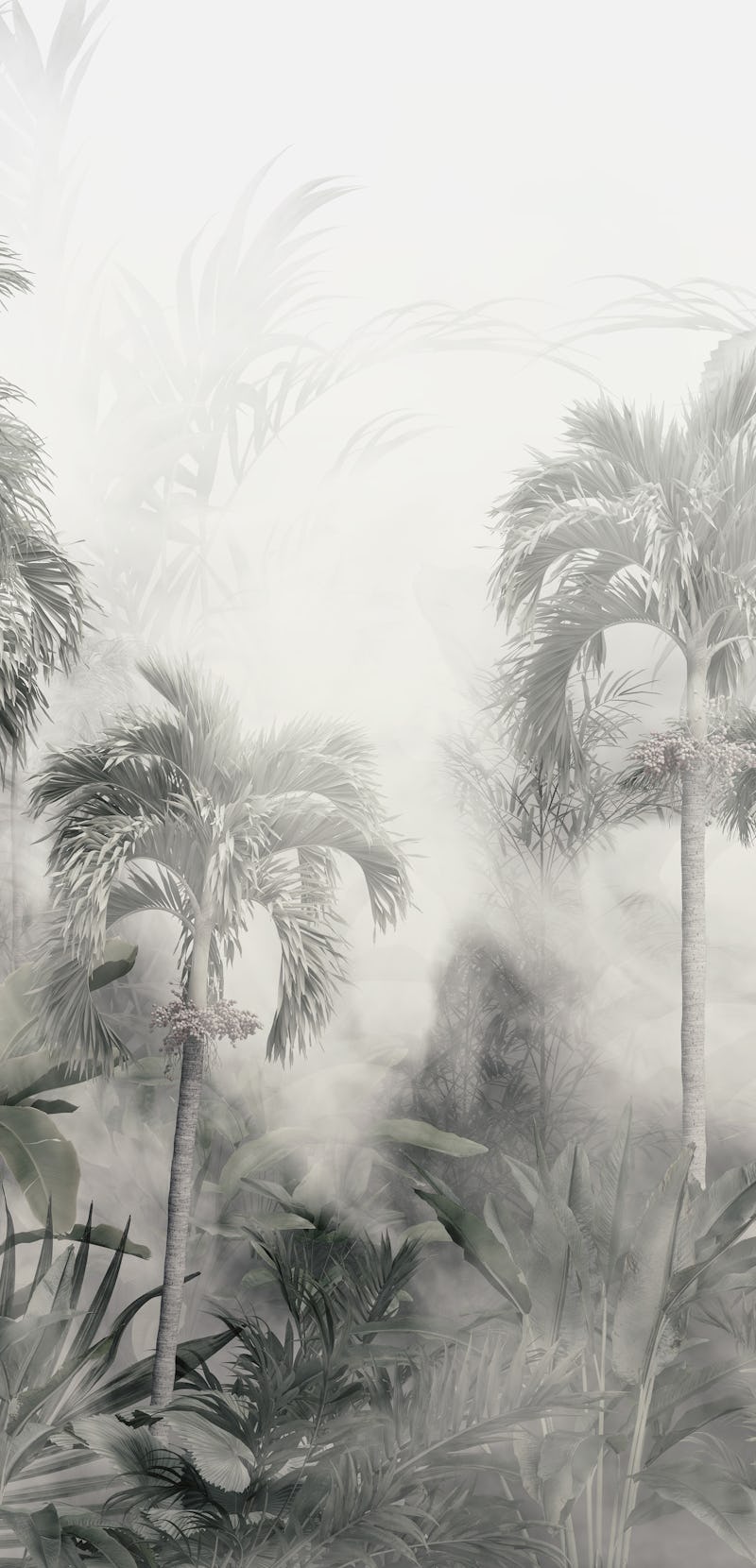 tropical trees and leaves wallpaper design in foggy forest - 3D illustration