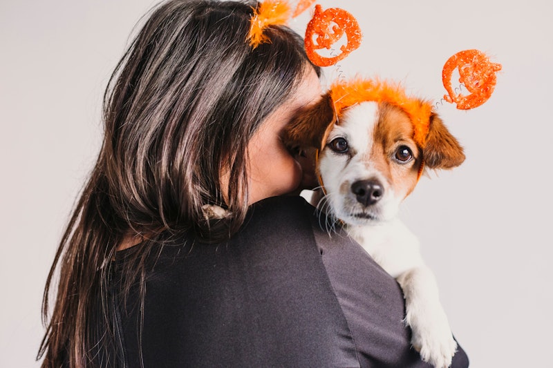 Halloween costumes with dog and owner