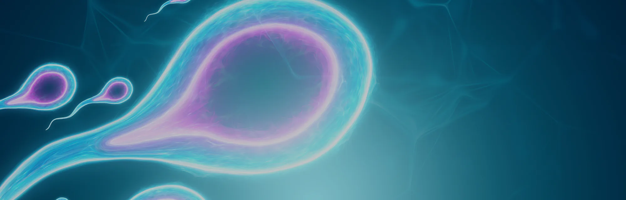 Fertilization of the egg by sperm cells. Pregnancy, infertility treatment, motherhood. 3D illustrati...