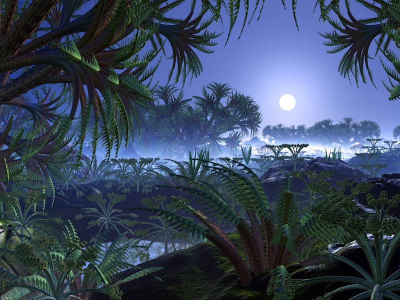View through dense alien foliage and strange plant-life to sun in bright blue sky.