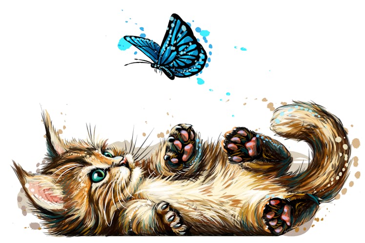 Cat. A kitten is playing with a butterfly. Wall sticker with the image of a blue-eyed Maine Coon kit...