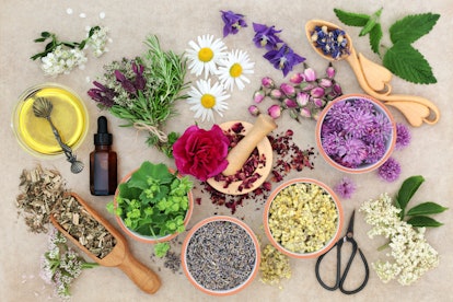 Natural herbal medicine with fresh herbs and flowers, aromatherapy essential oil, mortar with pestle...