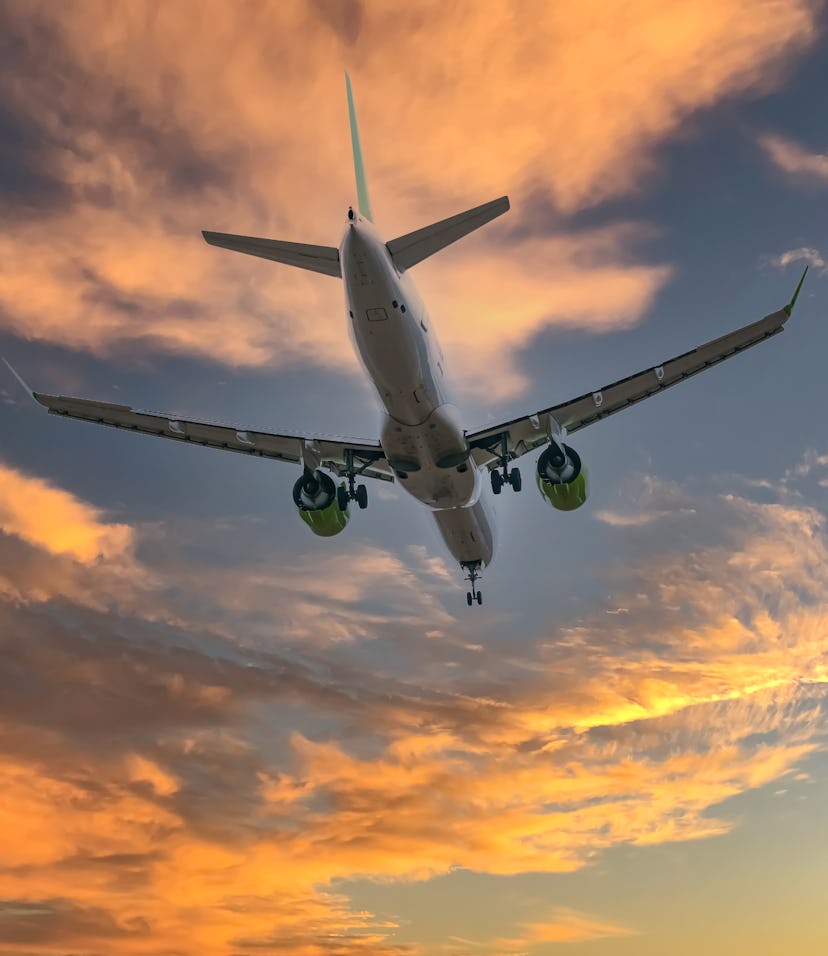 Here's how to enter canceled Thanksgiving flight 2021 contest with American Pecan Council.