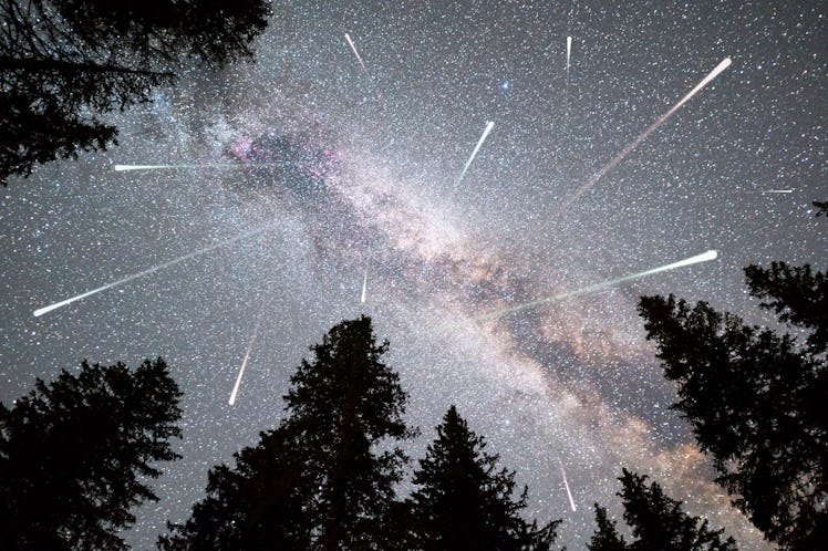 A view of a Meteor Shower and the Milky Way with a pine trees forest silhouette in the foreground. N...