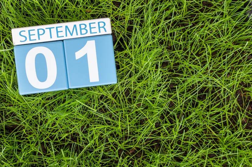 Photo of a September 01 calendar sign on green grass. 