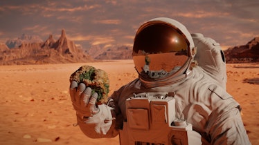 life on planet Mars, astronaut discovers bacterial life on the surface of a rock (3d science renderi...