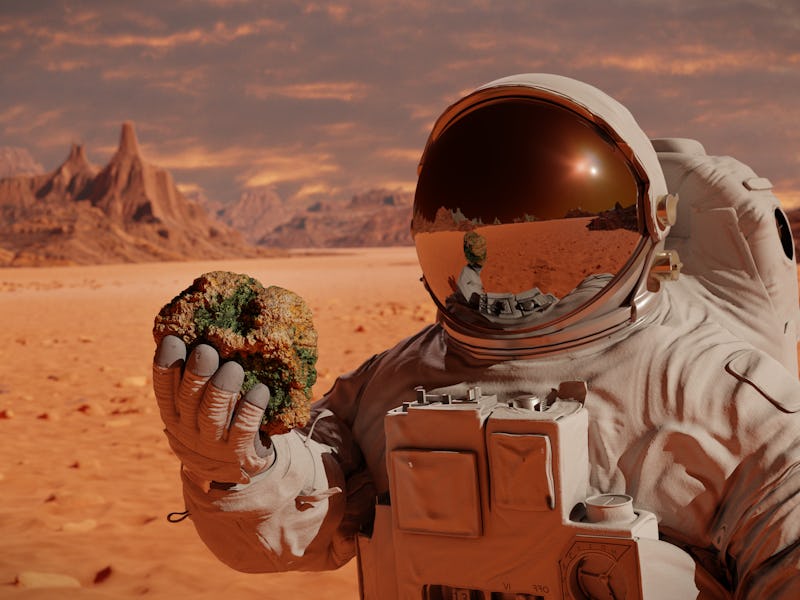 life on planet Mars, astronaut discovers bacterial life on the surface of a rock (3d science renderi...