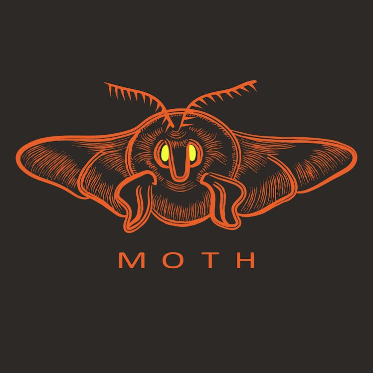 Vector illustration of moth in terracotta, yellow colors. Perfect for logos. Hand drawn engraving st...